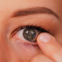 Kontaktlinsen farbig mit und ohne Stärke Cute Gray 0,00